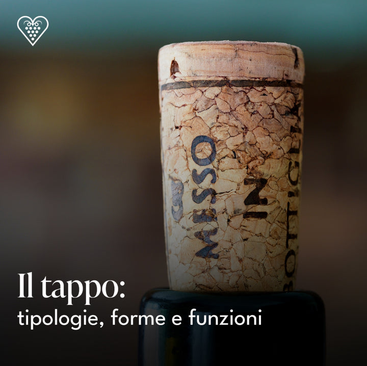 Il tappo: tipologie, forme e funzioni