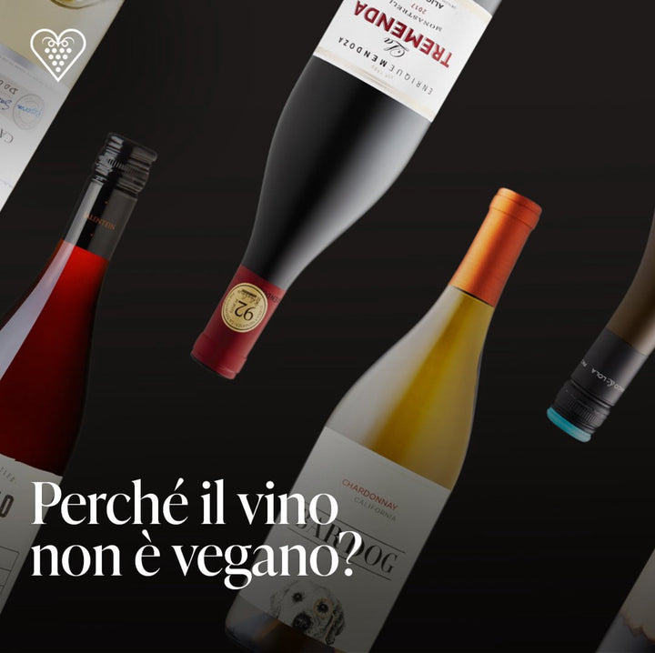 Perché il vino non è vegano?