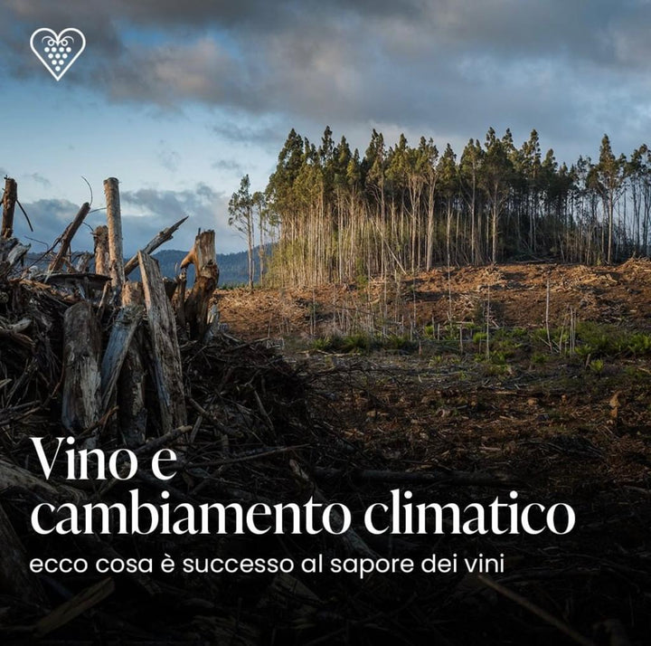 Vino e cambiamento climatico